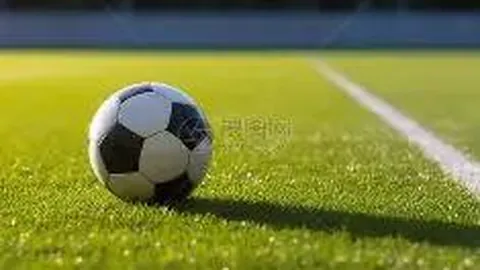 解码唇语传奇：探寻廷贝尔与马雷斯卡的言辞之谜